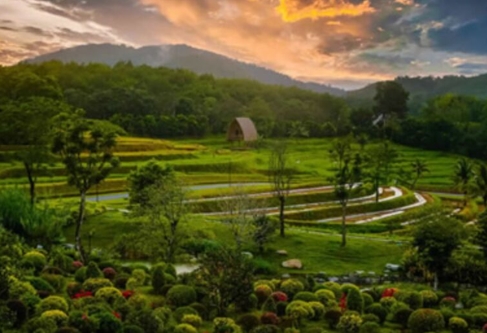 绿色田园共享菜园